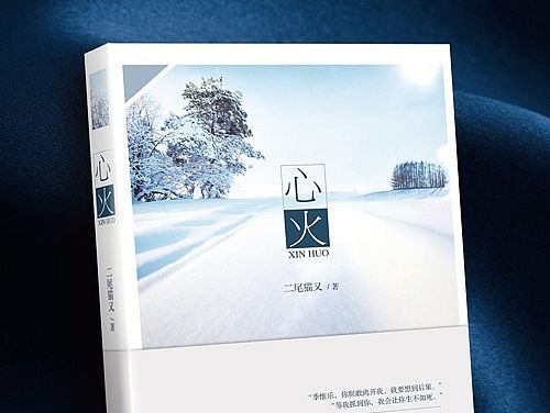 书籍装帧——《心火》封面定制