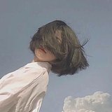 是秋刀鱼的猫的头像