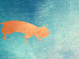 cat running