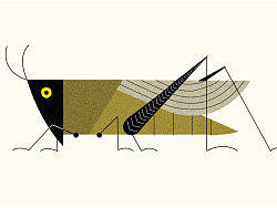 几何形动物超简洁形象