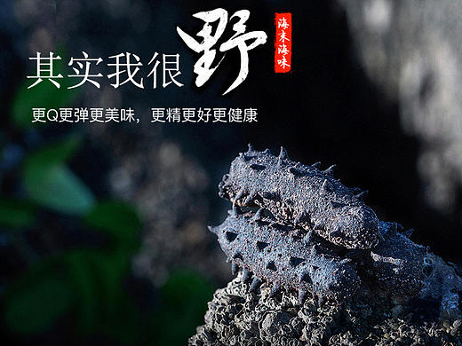 海参/海鲜/食物/滋补/零食详情页众筹