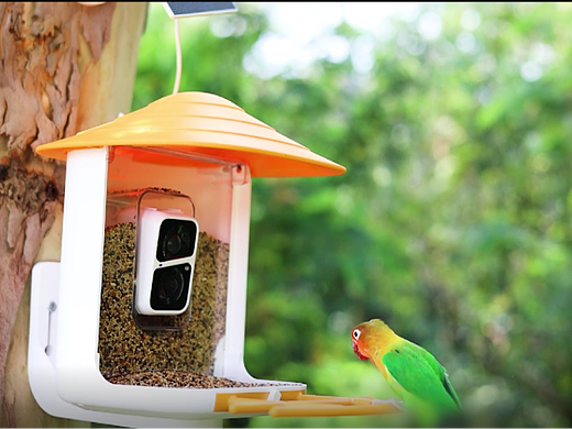宠物用品：喂鸟器