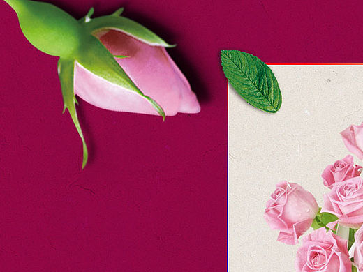 淘宝店铺首页设计（个人主页-ZMTUxOTE4MDg=） - 电商 - 站酷设计师luluskyly原创素材 - 站酷ZCOOL