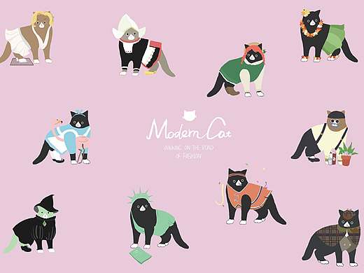 摩登猫