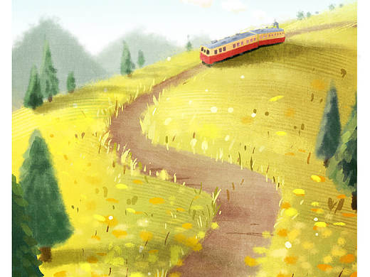 开满鲜花的小路