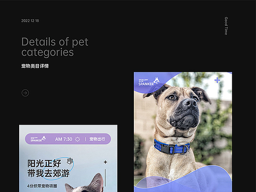 宠物牵引绳详情