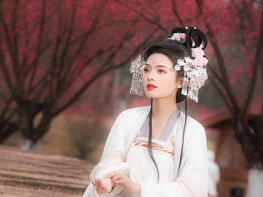 春日宴 | 别等错过花期又一年