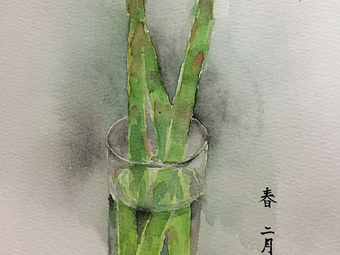 芦笋（个人主页-ZMjA3NjYxNjg=） - 创作习作 - 站酷设计师snow5233原创素材 - 站酷ZCOOL