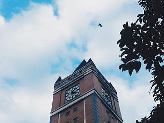 匆匆那年（個(gè)人主頁-ZNjIxMTMzNg==） - 風(fēng)光攝影 - 站酷設(shè)計(jì)師IrisVision原創(chuàng)素材 - 站酷ZCOOL