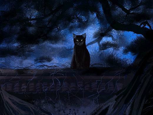 夜猫子