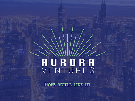 芬兰极光投资logo原创设计方案