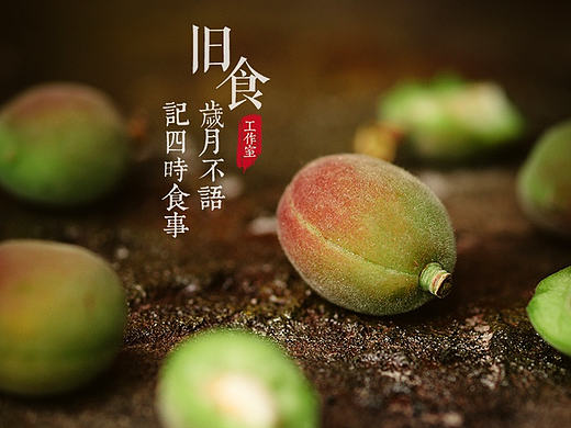 图拍静物