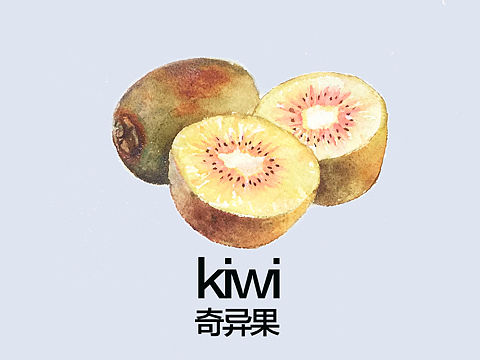 手绘水彩水果系列之奇异果每日一图