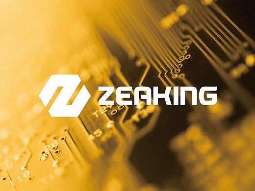 ZEAKING_品牌形象