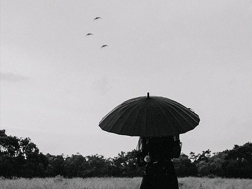 凡是过往,皆为序章