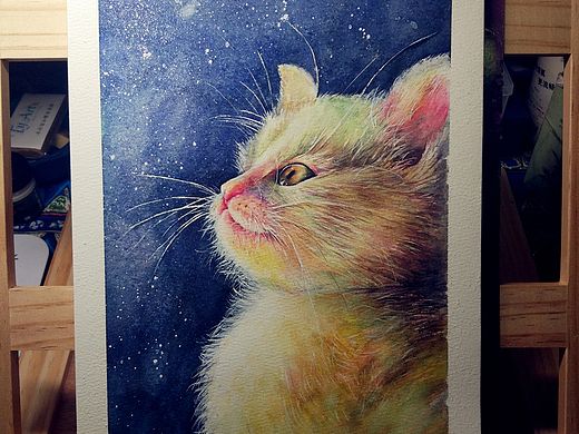 还有一点理想的猫