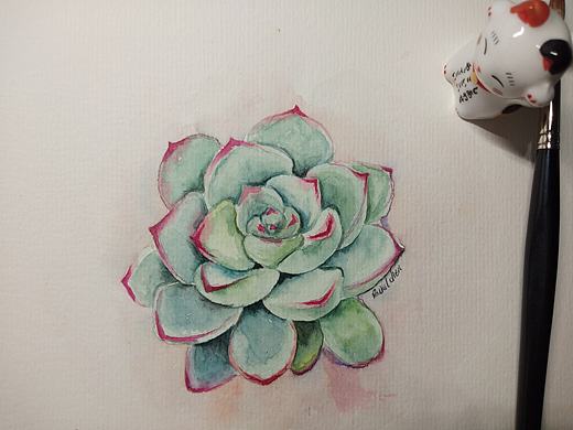 多肉（個人主頁-ZNDIyNDYzNDg=） - 繪畫 - 站酷設(shè)計師肉肉的小橙橙原創(chuàng)素材 - 站酷ZCOOL