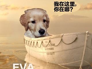 迷失的狗（个人主页-ZNzc1NDY4OA==） - 其他平面 - 站酷设计师一条大猫原创素材 - 站酷ZCOOL