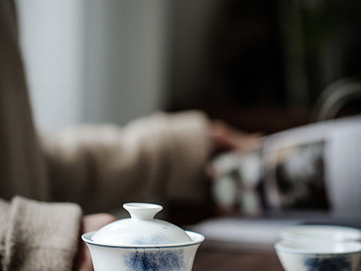 蜗居 小茶