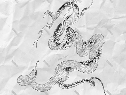 79画满100条不同的蛇79第48条迷乱绘画过程有什么