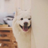 江沭淼的头像