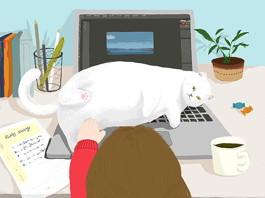 猫