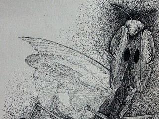 鋼筆 圓珠筆 針管筆（個人主頁-ZNjgwMTIwOA==） - 繪畫 - 站酷設(shè)計師橘大本原創(chuàng)素材 - 站酷ZCOOL