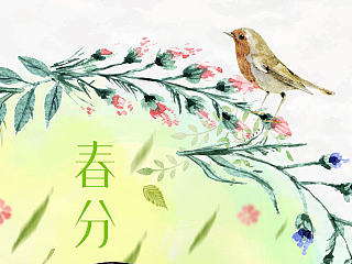 几张节气图