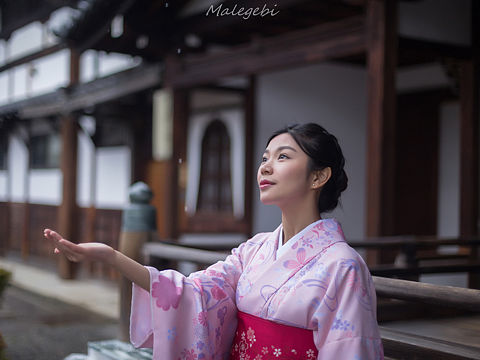 日本樱花旅拍