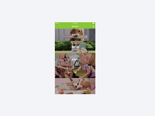 APP 项目展示