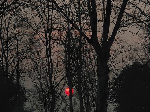 冬天的早晨（个人主页-ZNTczODc0MDA=） - 风光摄影 - 站酷设计师灿灿喝可乐呀原创素材 - 站酷ZCOOL