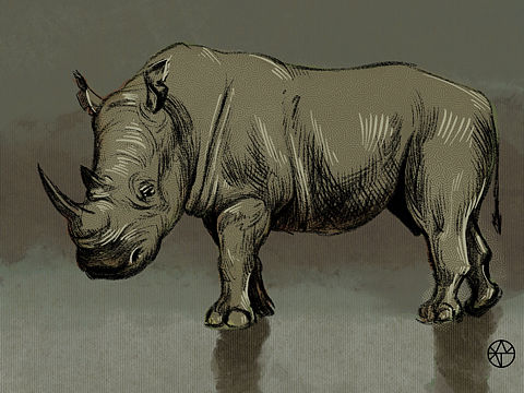 犀牛（个人主页-ZNTMxMTY1ODQ=） - 创作习作 - 站酷设计师我叫WJN原创素材 - 站酷ZCOOL