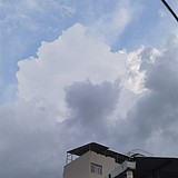 尼姆勒斯的头像