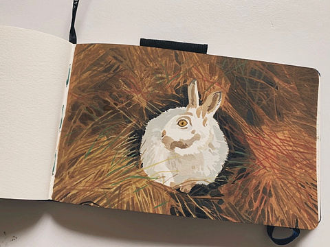 雜七雜八的速寫（個人主頁-ZNDk4MDA3NTI=） - 新銳潮流插畫 - 站酷設計師扎扎君原創(chuàng)素材 - 站酷ZCOOL