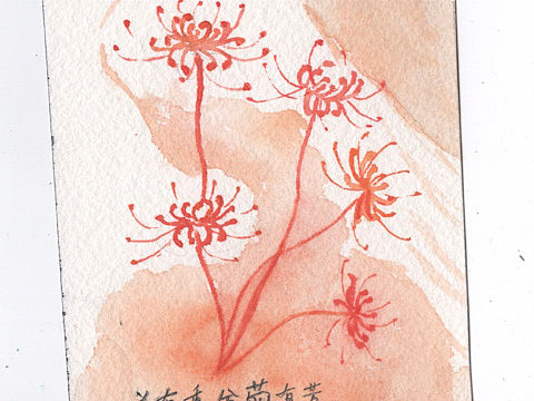 小练习，就叫“菊忆 ”吧（个人主页-ZMzk0Mzk0MDg=） - 创作习作 - 站酷设计师Suzy_Su原创素材 - 站酷ZCOOL