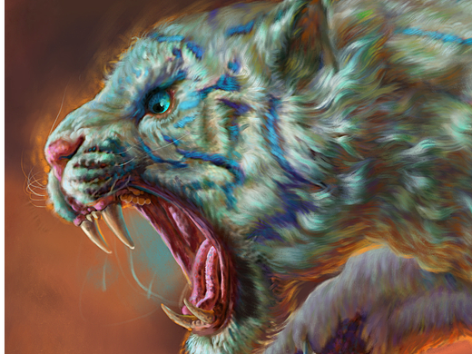 美宣插画-龙虎斗