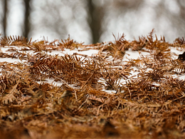 年会鸡毛后的温馨瞬间