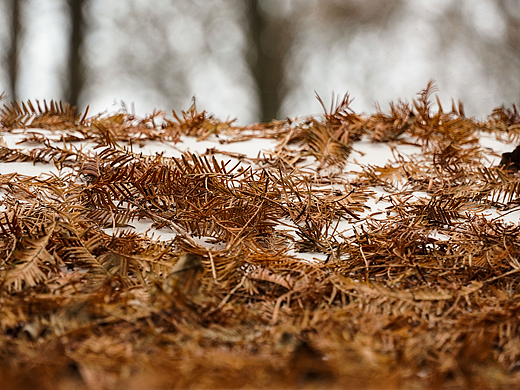 年会鸡毛后的温馨瞬间