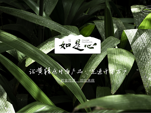 如是心品牌升级-健康滋补品类 