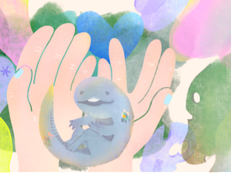 小蜥蜴 公众号插图