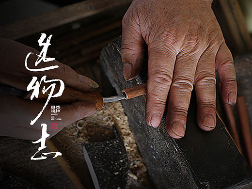 这才是真正的笔，咱平时用的叫刷子【造物志】自然造物 