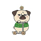 是新宇呀的头像