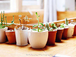 小兔子MM的愉快下午