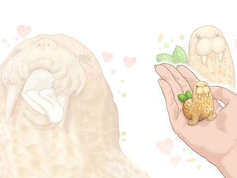 花生海象的背景图，喜欢的话可以下载用作壁纸哦🥜