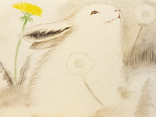 彩铅兔子插画 手绘儿童插画