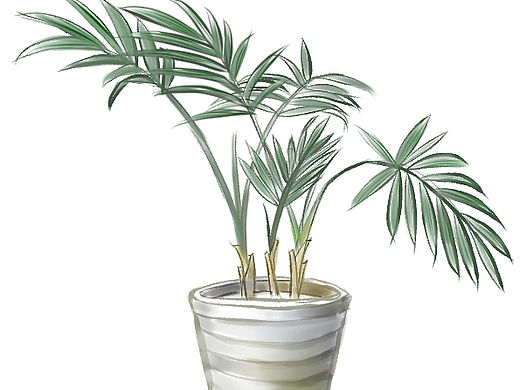 迷你椰（个人主页-ZNjA1OTY5ODA=） - 创作习作 - 站酷设计师童谣敲温柔原创素材 - 站酷ZCOOL