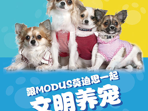 modus上海国际宠博会演讲活动X展架设计