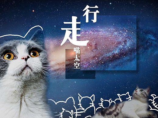 行走喵星球