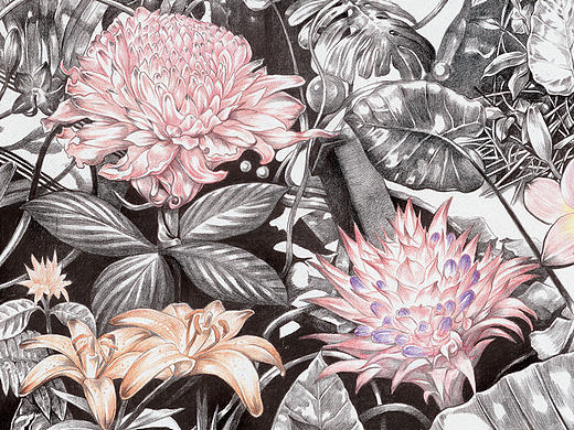 赵娜-《后花园 Backyard garden》-50×100cm-布上铅笔-2016