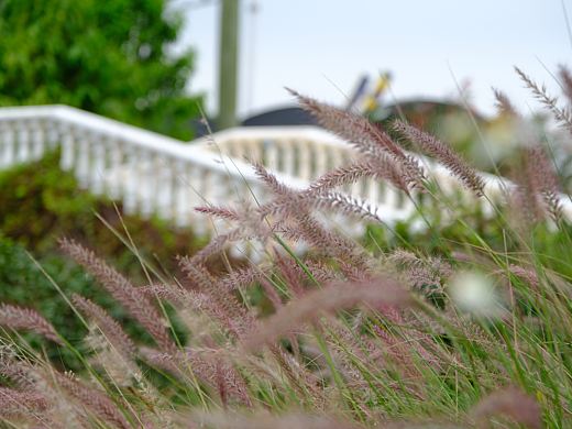 秋（個人主頁-ZNDYwNTE3OTI=） - 風光攝影 - 站酷設計師LZC1001原創(chuàng)素材 - 站酷ZCOOL